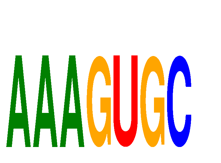 SeqLogo of AAAGUGC