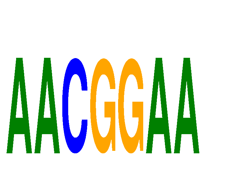 SeqLogo of AACGGAA