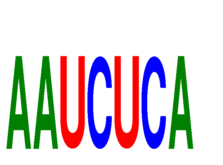 SeqLogo of AAUCUCA