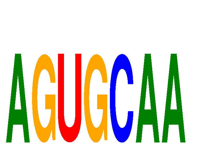 SeqLogo of AGUGCAA