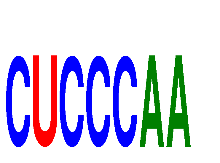 SeqLogo of CUCCCAA