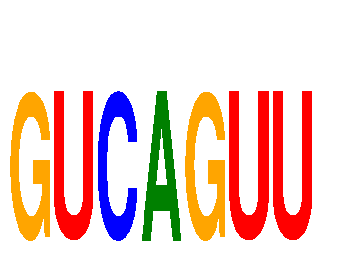 logo of 