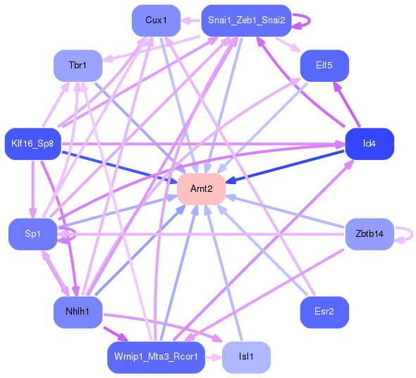 PNG image of the network