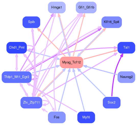 PNG image of the network