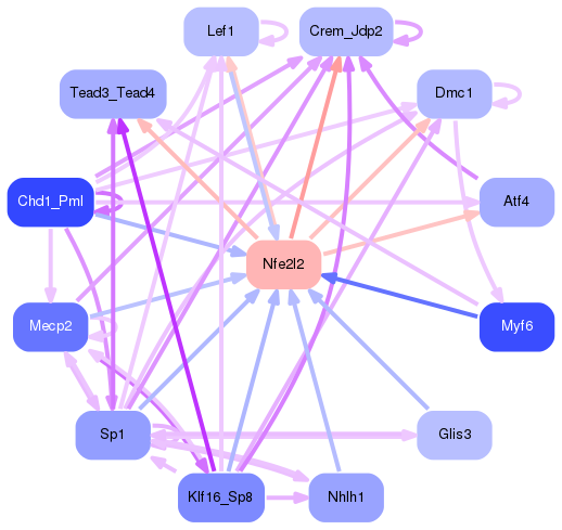 PNG image of the network