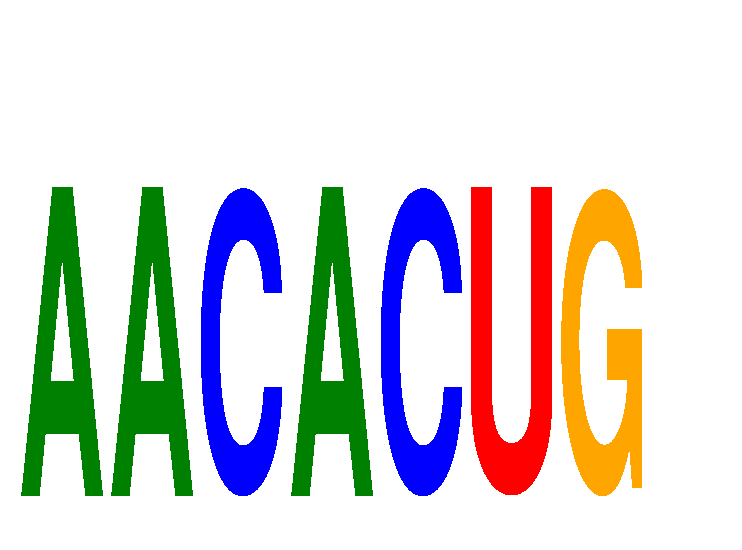 SeqLogo of AACACUG