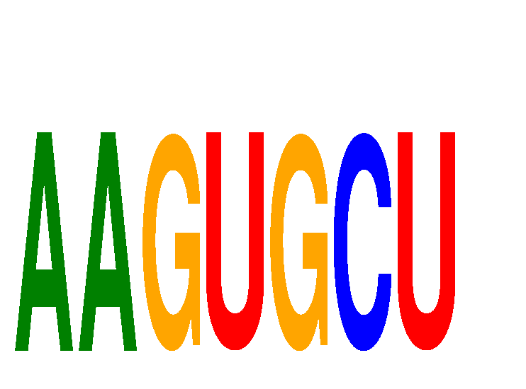 SeqLogo of AAGUGCU
