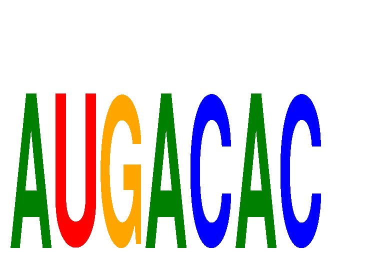 SeqLogo of AUGACAC