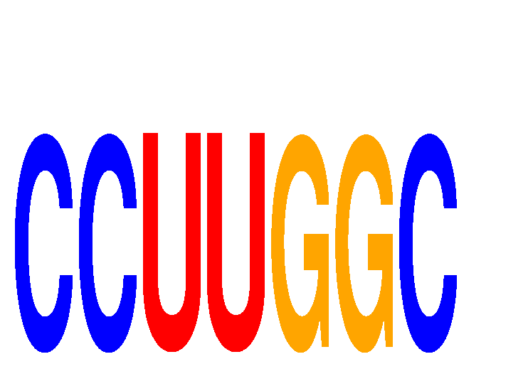 SeqLogo of CCUUGGC
