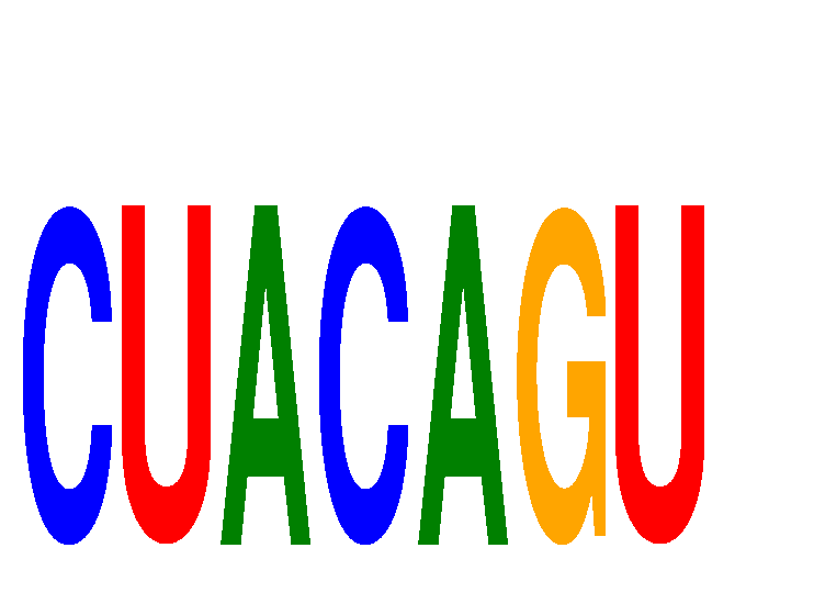 SeqLogo of CUACAGU