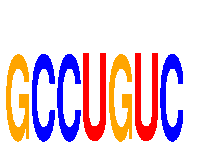 SeqLogo of GCCUGUC