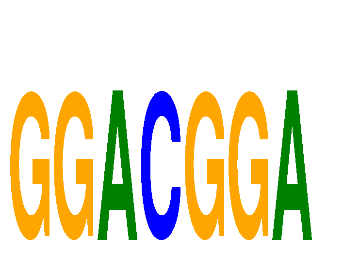 SeqLogo of GGACGGA