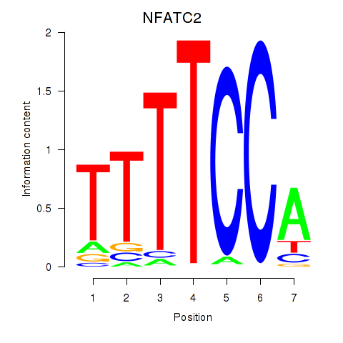 SeqLogo of NFATC2_NFATC3