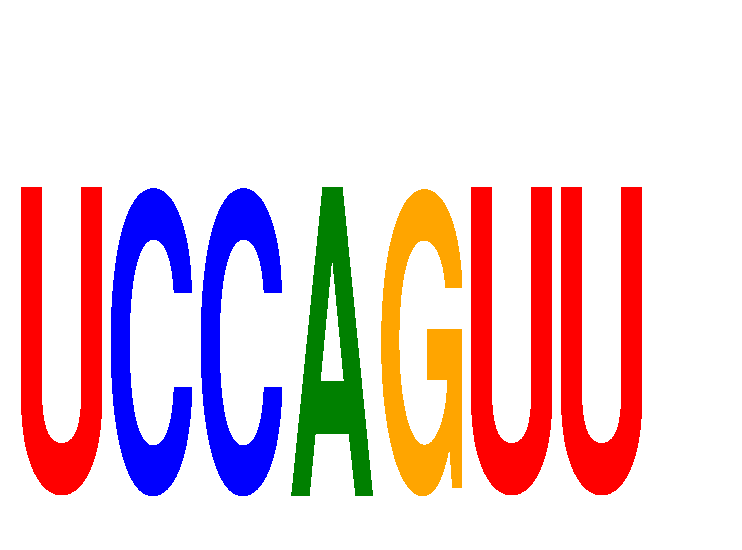 SeqLogo of UCCAGUU