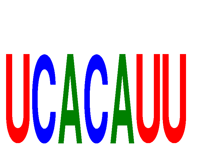 SeqLogo of UCACAUU