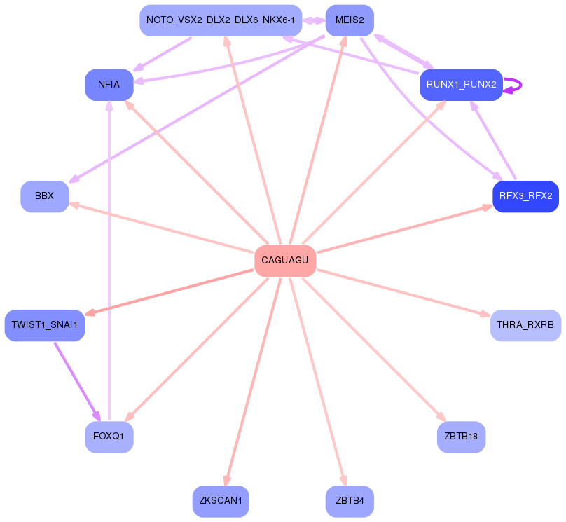 PNG image of the network