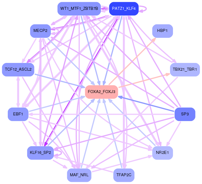 PNG image of the network