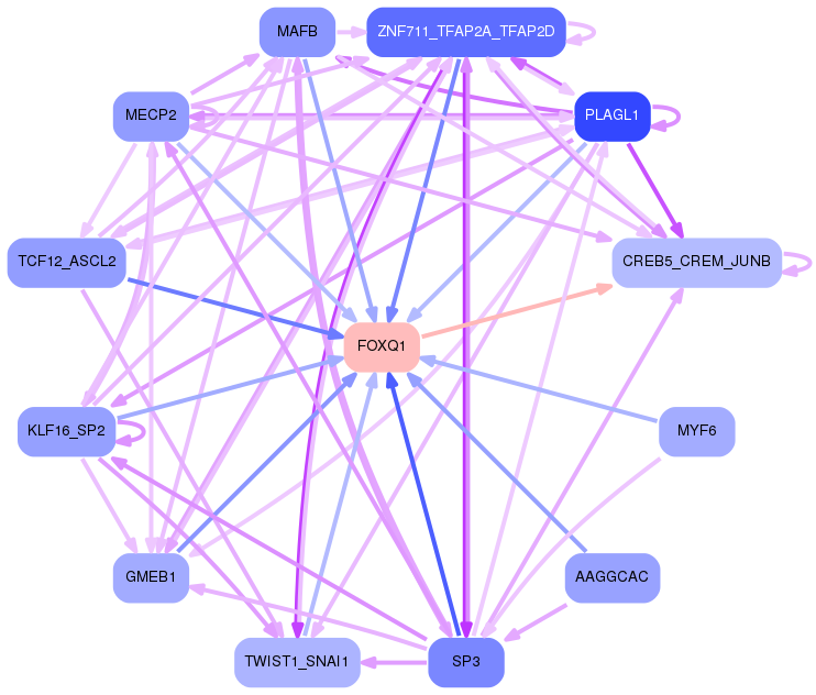 PNG image of the network