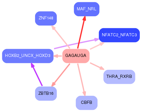 PNG image of the network