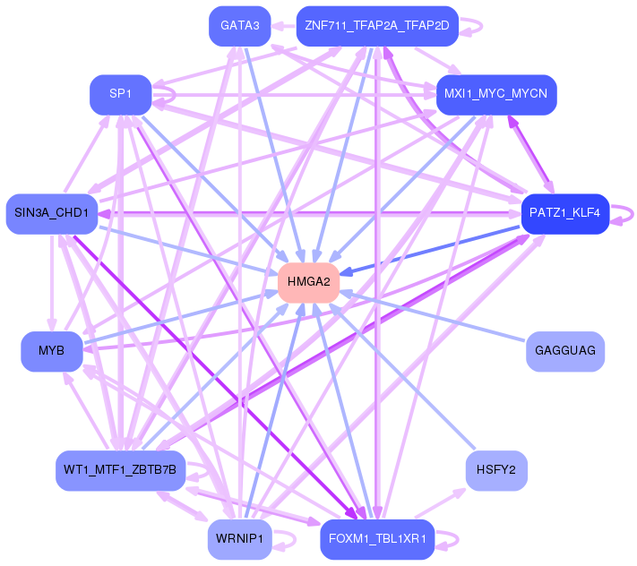 PNG image of the network