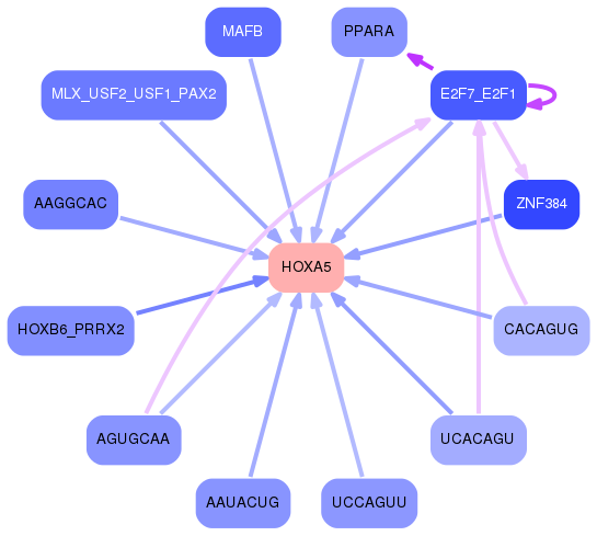 PNG image of the network