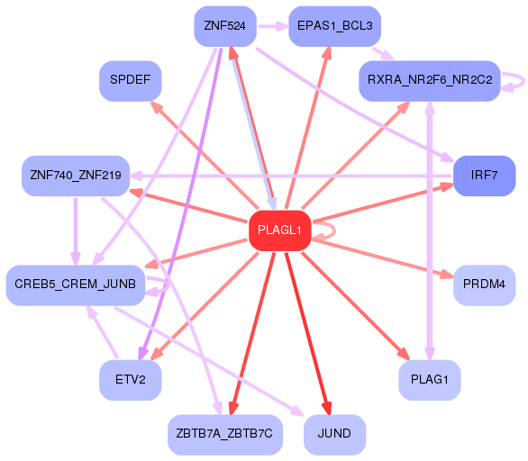 PNG image of the network