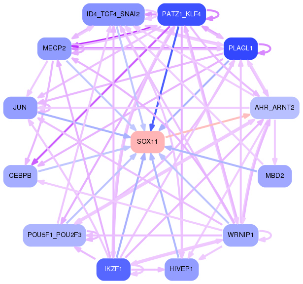 PNG image of the network