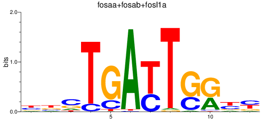 SeqLogo of fosaa+fosab+fosl1a