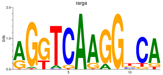 SeqLogo of rarga