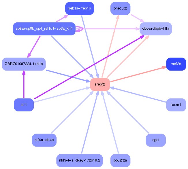 PNG image of the network