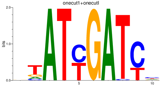 SeqLogo of onecut1+onecutl