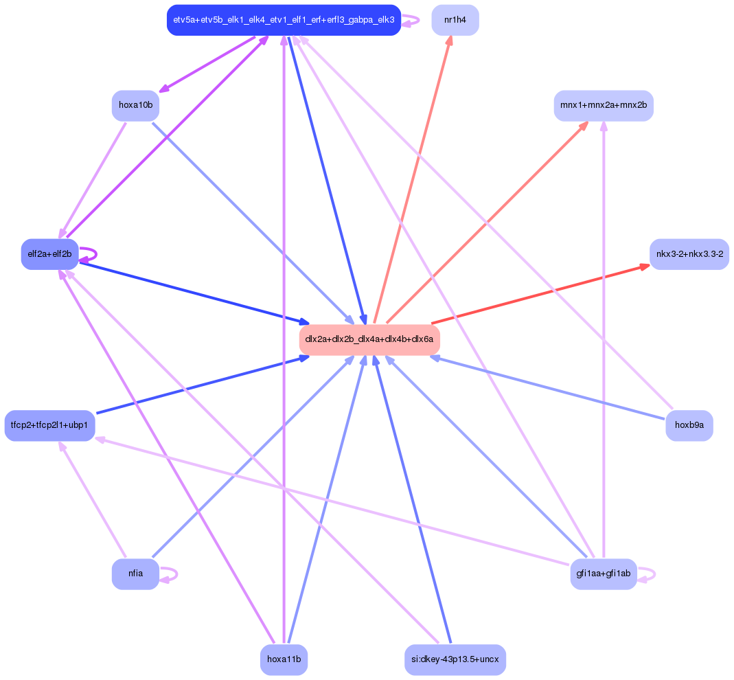 PNG image of the network