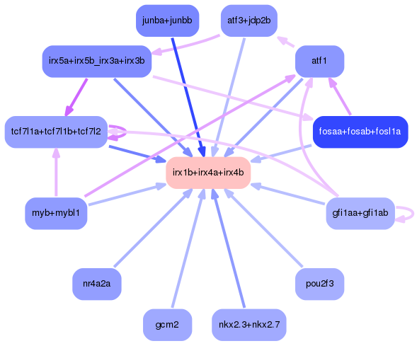 PNG image of the network