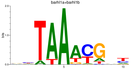 SeqLogo of barhl1a+barhl1b