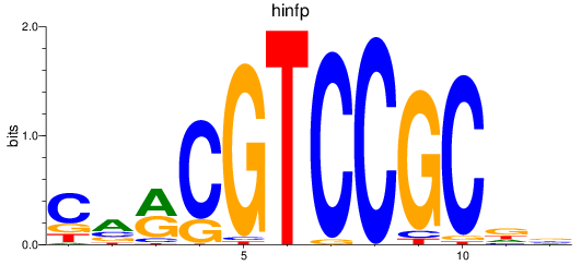 SeqLogo of hinfp