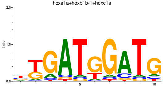 SeqLogo of hoxa1a+hoxb1b-1+hoxc1a