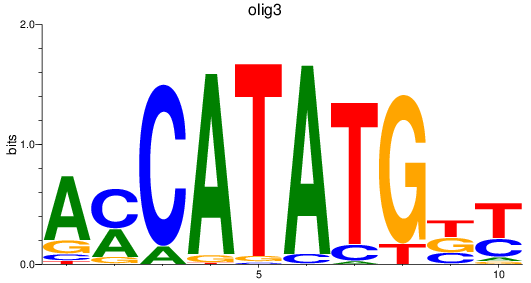 SeqLogo of olig3_olig2+olig4_olig1