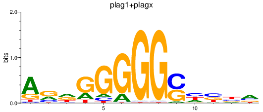 SeqLogo of plag1+plagx