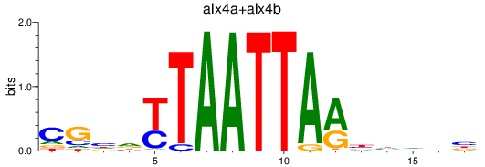 SeqLogo of alx4a+alx4b
