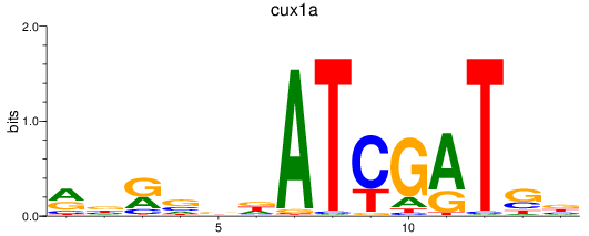 SeqLogo of cux1a