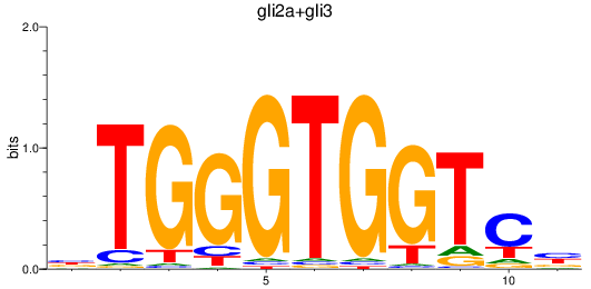 SeqLogo of gli2a+gli3