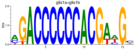 SeqLogo of glis1a+glis1b