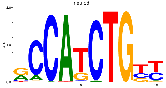 SeqLogo of neurod1