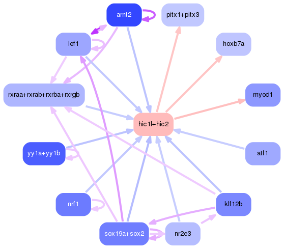 PNG image of the network