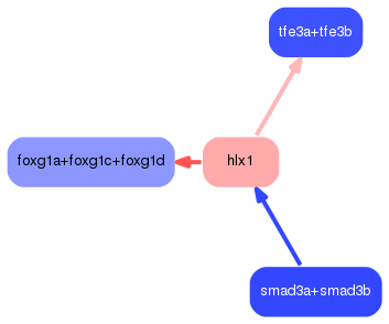 PNG image of the network