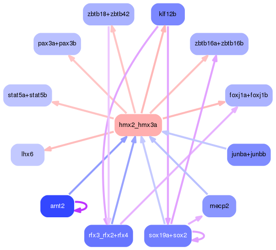 PNG image of the network
