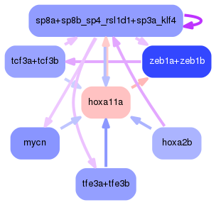 PNG image of the network