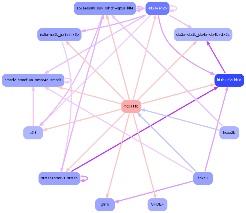 PNG image of the network