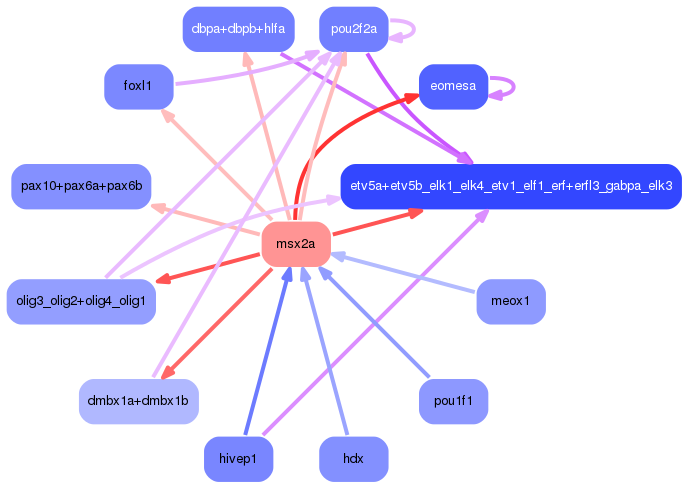 PNG image of the network
