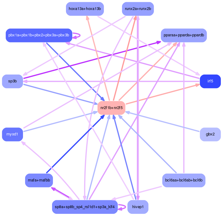 PNG image of the network